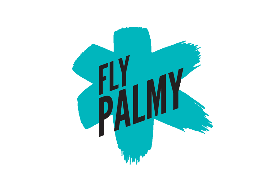 Fly Palmy Free WiFi by Inspire Net